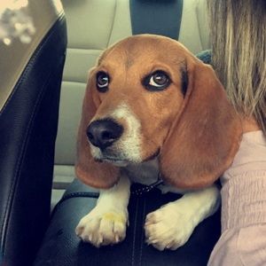 Meet your Posher, Janelle